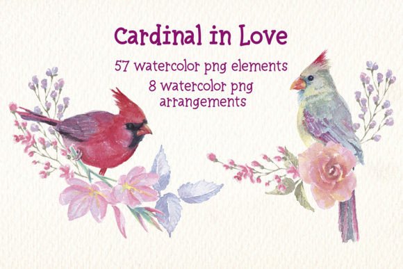 Cardinal in Love Watercolor Clipart: Romantic Illustrations for Branding & Marketing