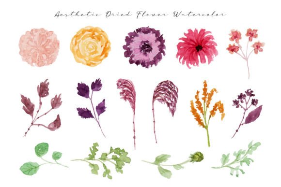 Colorful Dried Flower Leaf Watercolor Illustrations for Branding & Marketing
