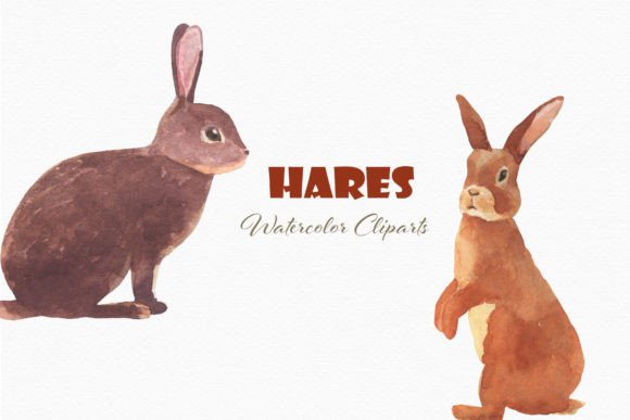 h1Cute Hare Rabbit Watercolor Clipart for Illustrations and Digital Product Sellers/h1