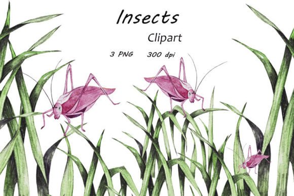 h1Watercolor Insects Clipart PNG: A Designer’s Review for Real-World Projects/h1