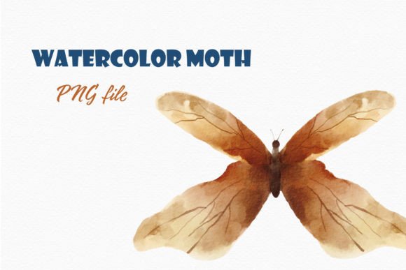 Moth Butterfly Watercolor Clipart Png for Branding and Illustration Projects