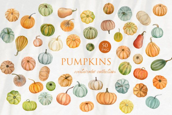 Pumpkin Market Watercolor Clipart PNG: A Brand Designer’s Review for Seasonal Marketing