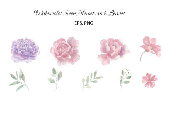 Rose Watercolor Flower Clipart 05: A Delicate Touch for Lifestyle and Editorial Design