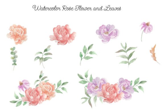 Soft Elegance in Rose Watercolor Flower Clipart 06 Illustrations