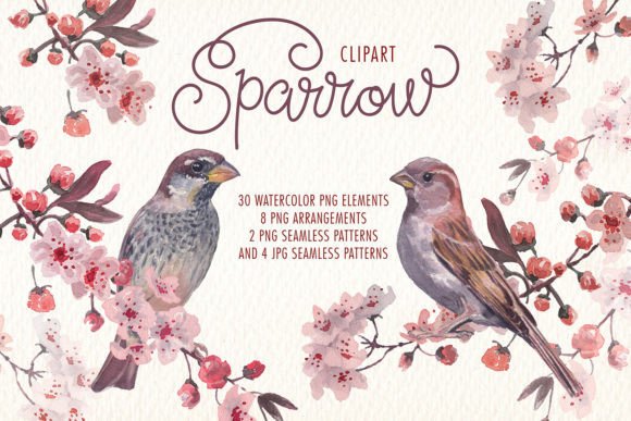 Sparrow Bird Watercolor Clipart: A Designer’s Honest Review for Real Embroidery Use