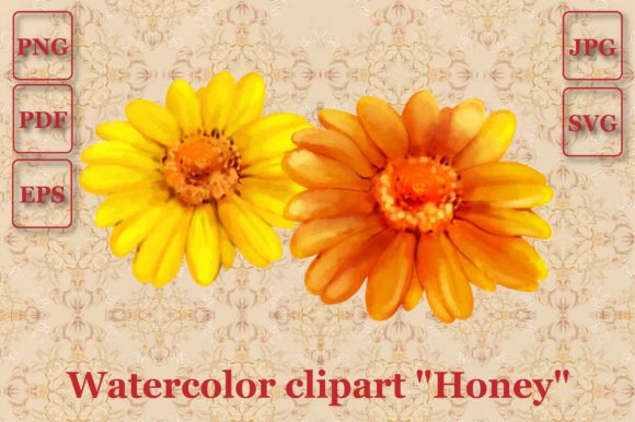 Two Daisy Flowers Watercolor Vector: A Soft, Organic Illustration for Local Branding