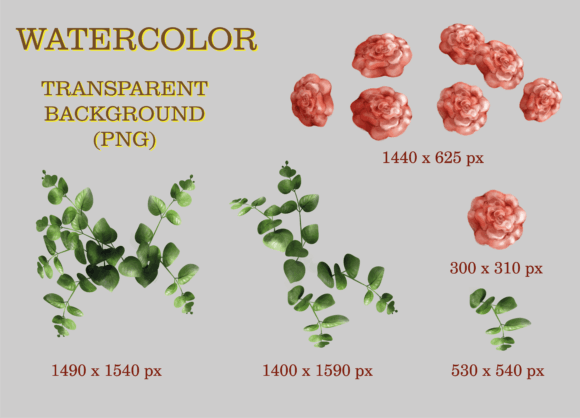 Vintage Watercolor Roses Illustrations for Digital Sellers