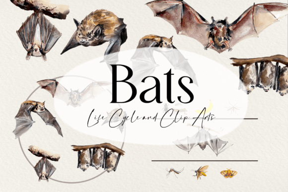Watercolor Bat Life Cycle & Clip Arts: Illustrations for Nature-Themed Branding