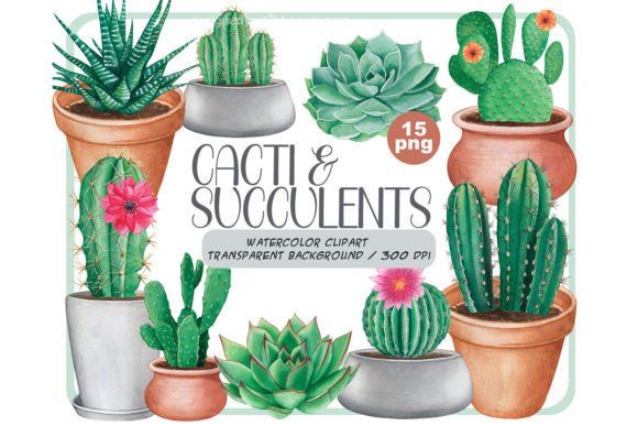 Watercolor Cactus Clipart Set: A Designer’s Real-World Review