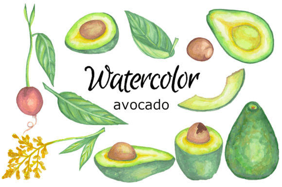 Watercolor Clipart Avocado Kitchen Food Illustrations for Creative Sellers