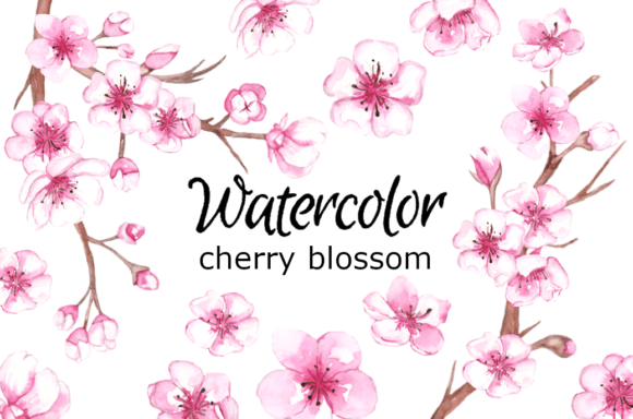 Watercolor Clipart Cherry Blossom Sakura: A Designer’s Review for Brand & Marketing Use