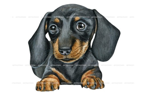 Watercolor Dachshund Puppy Portrait Illustration: A Fresh Design Asset for Lifestyle and Pet Brands