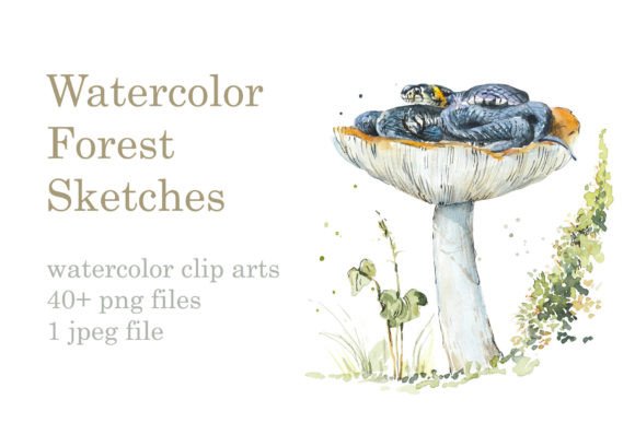 Watercolor Forest Sketches: Organic Illustrations for Authentic Branding
