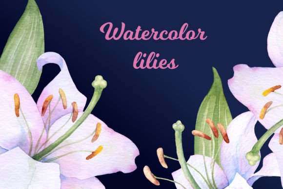 Watercolor Hand Painted Flower Lilies Cl – A Fresh Illustration for Local Branding and Packaging