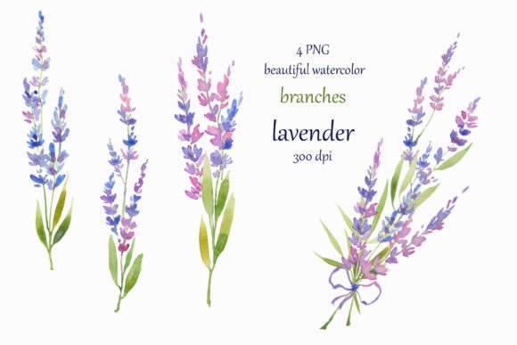 Watercolor Hand Painted Lavender Clipart for Lifestyle & Editorial Design
