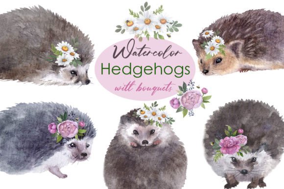 Watercolor Hedgehog with Flower Clipart for Illustrations & Digital Product Sellers