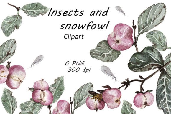 Watercolor Insects and Snowfowl Clipart: A Visual Designer’s Take for Bloggers & Publishers