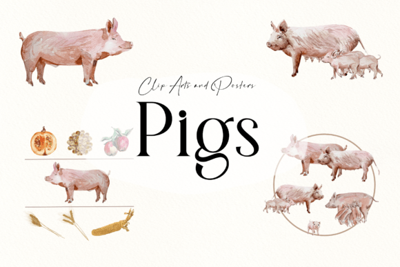 Watercolor Pig Life Cycle & Clip Arts Review