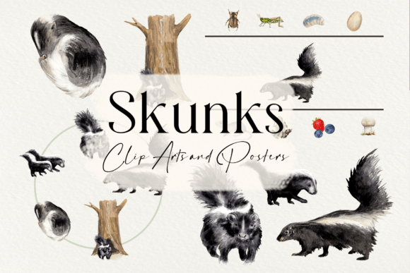 Watercolor Skunks Life Cycle Illustrations: A Designer’s Review for Real Client Projects