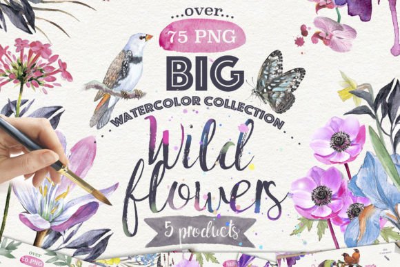 Wildflowers Watercolor Collection: A Seller’s Honest Review for Etsy, Print-on-Demand, and Creative Product Makers